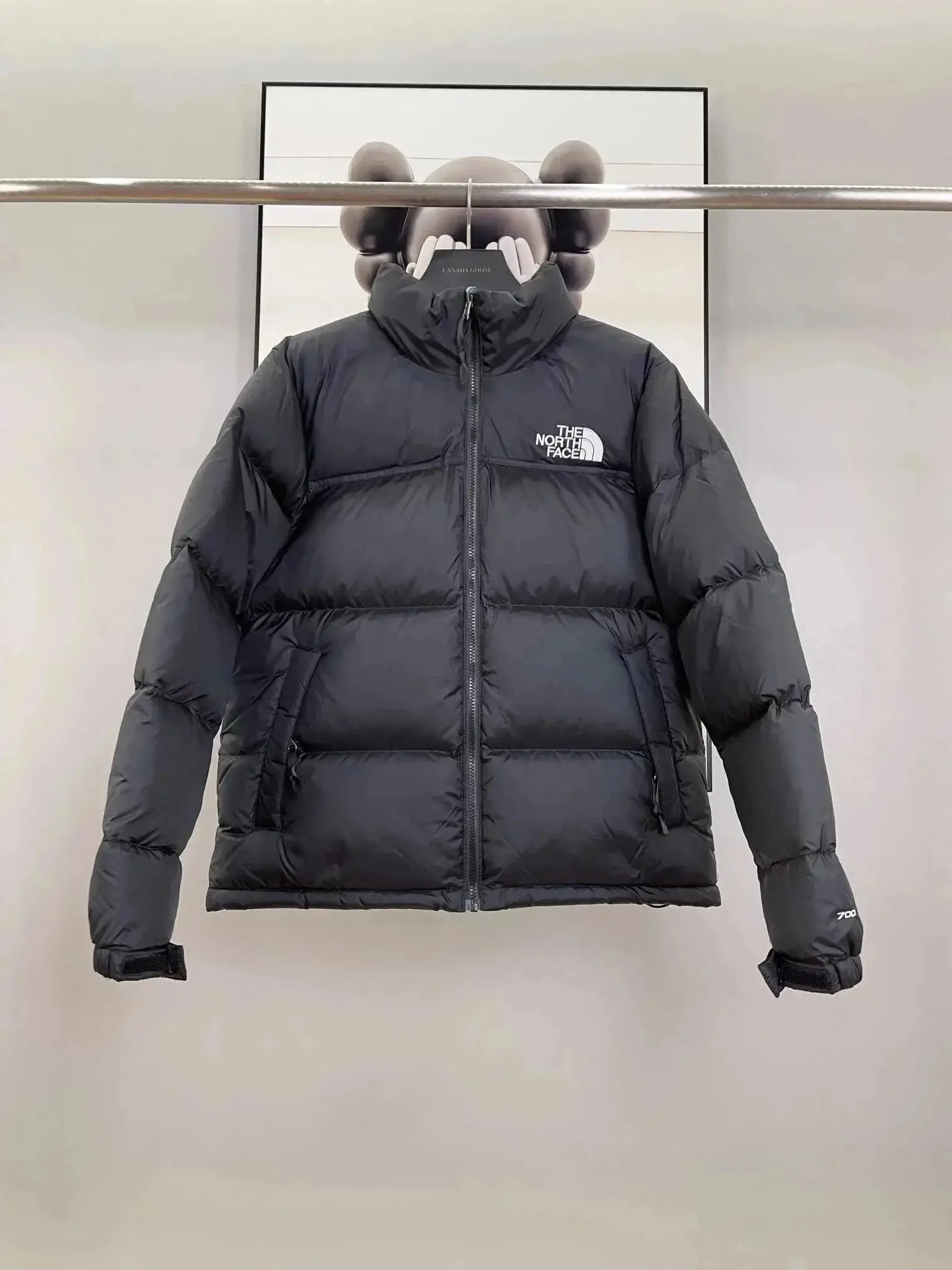 The North Face Down Jacket