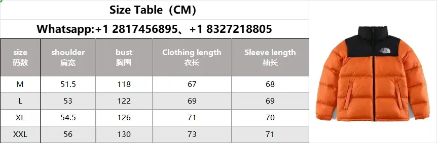 THE NORTH FACE Nuptse Down Jacket 2