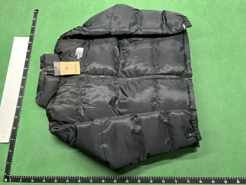 THE NORTH FACE Nuptse Down Jacket 4